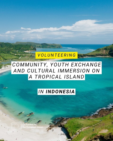 Программа волонтерства на острове Ломбок