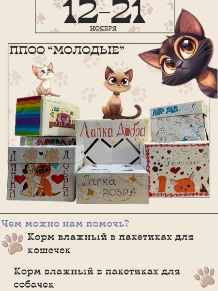Акция «Лапка Добра» | Помощь кошечкам и собачкам | Бишкек до 21.11.2025