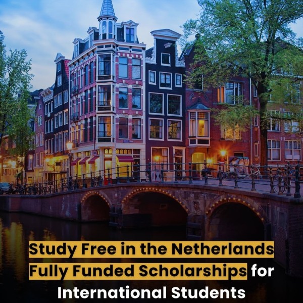 Стипендии Маастрихтского университета в Нидерландах на 2026 год