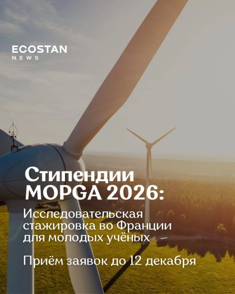 Программа грантов MOPGA 2026