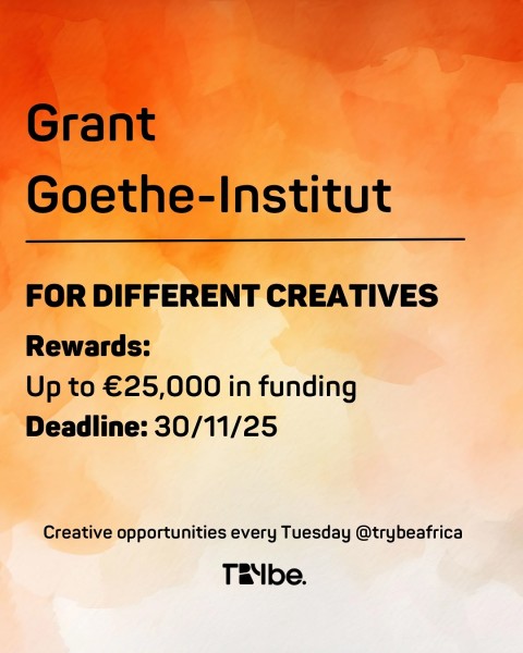 Программа Goethe Connect and Create | Гранты до 25 тысяч евро