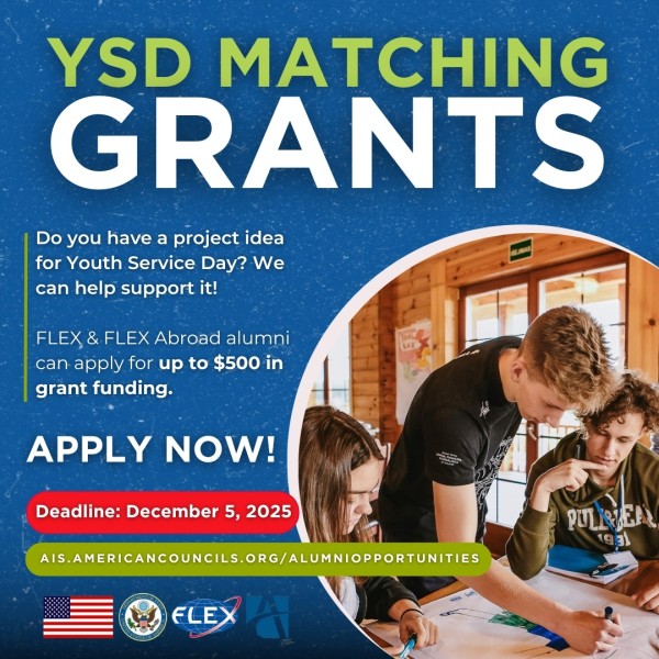 Гранты YSD Matching Grants 2025: воплоти свои идеи в жизнь 