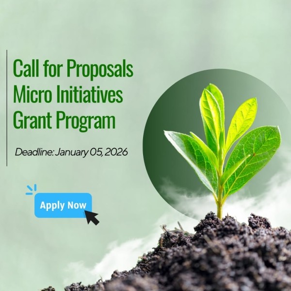 Программа грантов «Призыв к микроинициативам» 2025