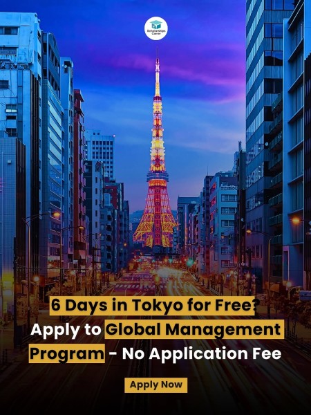 Программа Global Management Program 2026 в Японии