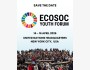 Программа UN ECOSOC Youth Forum 2026