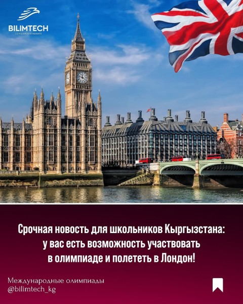 Международная олимпиада Owlypia