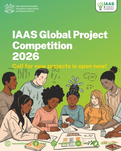 Программа IAAS Global Project Competition 2026