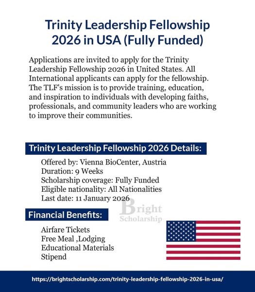 Программа Trinity Leadership Fellowship 2026 в США