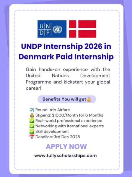 Программа стажировок UNDP Internship 2026 в Дании
