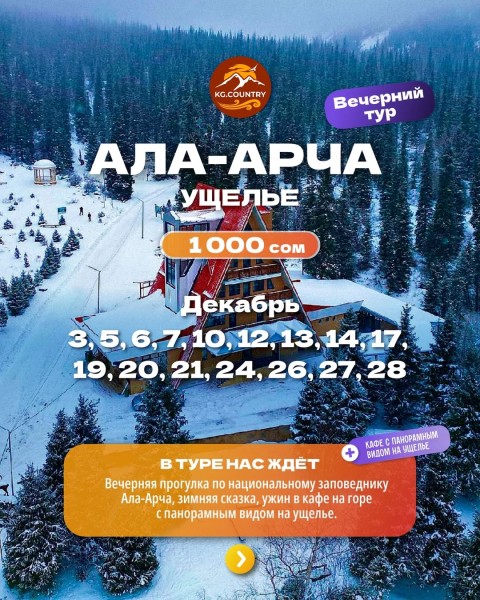 Вечерний тур: Ала-арча + кафе на горе с панорамным видом на ущелье | Выезд 06.12.2025