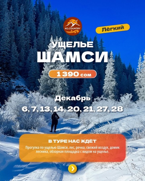 Тур в ущелье Шамси | Зимняя прогулка | Выезд 20.12.2025