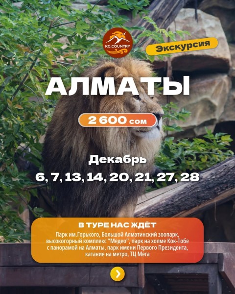 Однодневный тур в город Алматы | 20.12.2025