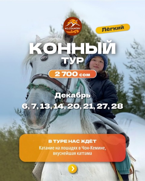 Конный тур + вкусный ужин в уютном гостевом доме | 21.12.2025