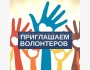 Набор волонтеров для помощи подготовки к Новому году | Бишкек