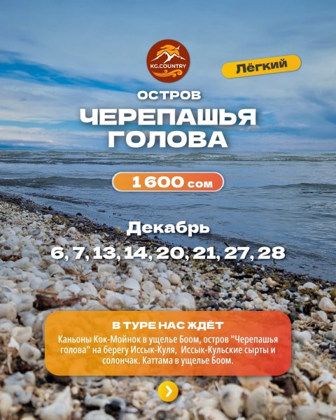 Тур на остров "Черепашья голова" | 28.12.2025