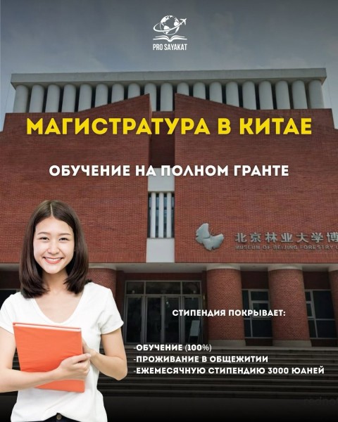 Программа стипендий Beijing Forestry University Scholarships 2026 в Китае