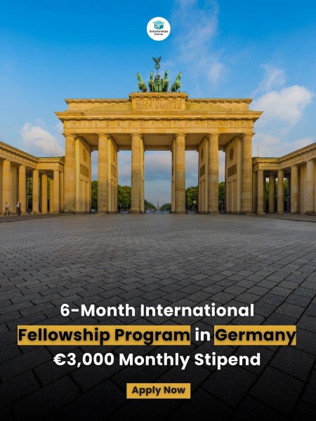 Программа KWI International Fellowship Programme 2026-27 в Германии