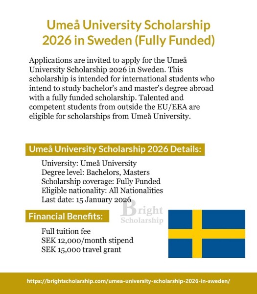 Программа стипендий Umeå University Scholarship 2026 в Швеции