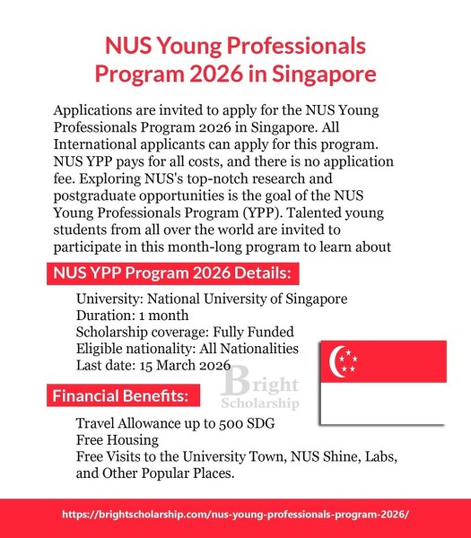 Программа NUS Young Professionals Program 2026 в Сингапуре