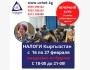 Вечерний курс: "Налоги" Кыргызстан | Бишкек 16.02.2026