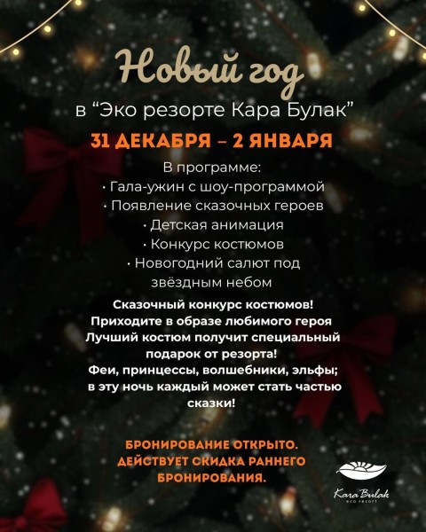 Новый год в “Эко резорт Кара Булак”