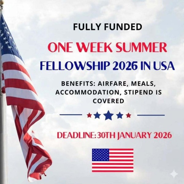 Программа LawAI Summer Fellowship 2026 в США