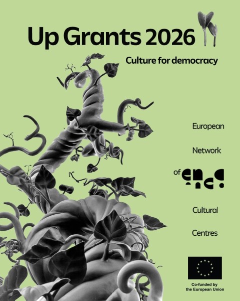 Программа грантов UpGrants2026