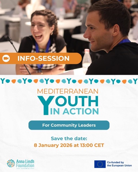 Вебинар о программе Mediterranean Youth Action 2026