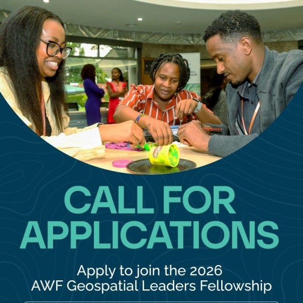 Программа Geospatial Leaders Fellowship 2026