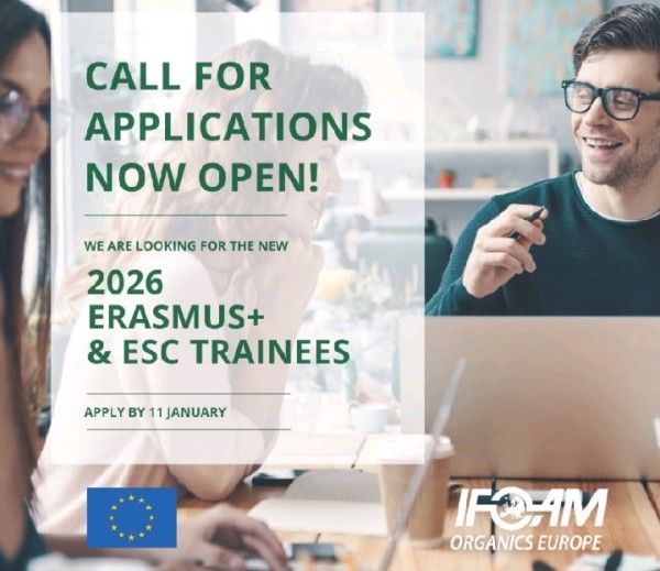 Программа волонтерства Erasmus+ Traineeship & ESC 2026