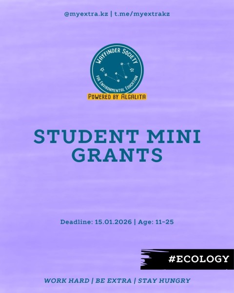 Программа грантов Wayfinder Society Student Mini-Grant