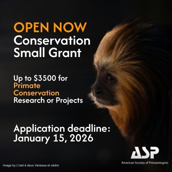 Программа грантовой поддержки экологических инициатив