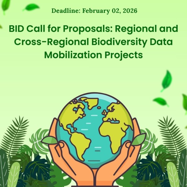 Программа грантов BID 2025