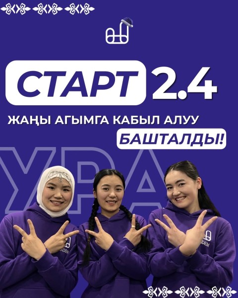 Программа YAYDEM 2.4