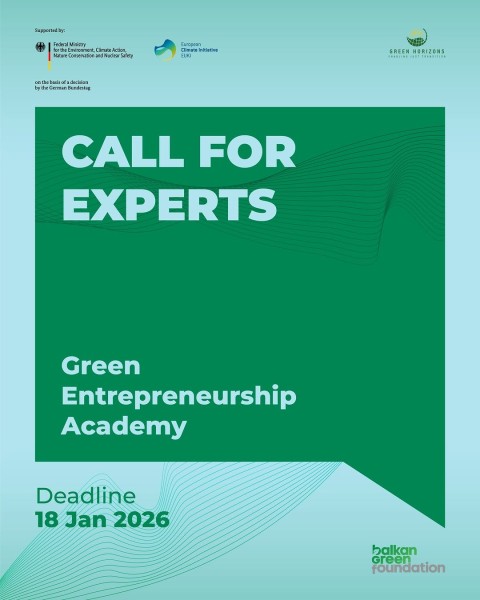 Программа Green Entrepreneurship Academy & Mentorship Program