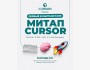 Первый в Кыргызстане митап Cursor