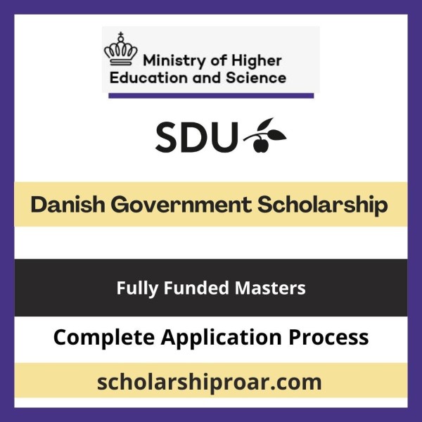 Программа стипендий Danish Government Scholarship 2026–2027 в Дании