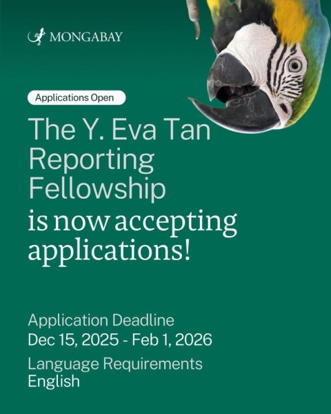 Возможность для экологических журналистов: гранты и публикации | Y. Eva Tan Conservation Report Ship 2026!