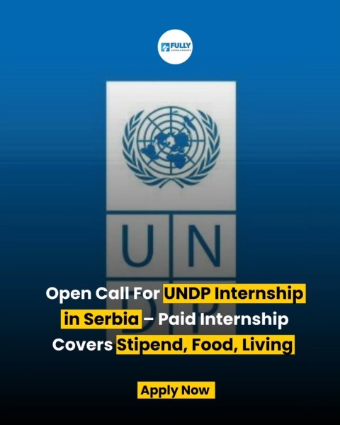 Программа стажировок UNDP Internship 2026 в Сербии