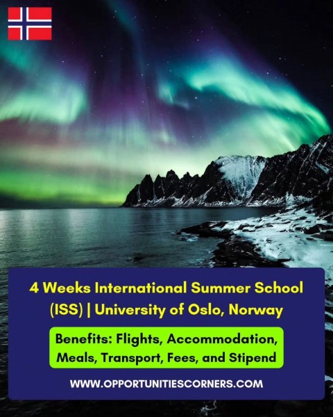 Программа International Summer School 2026 в Норвегии