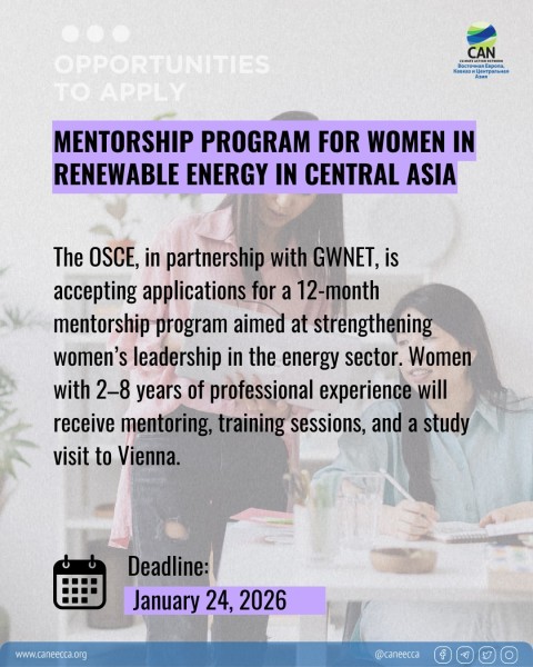 Программа Mentorship Program for Women in Renewable Energy in Central Asia