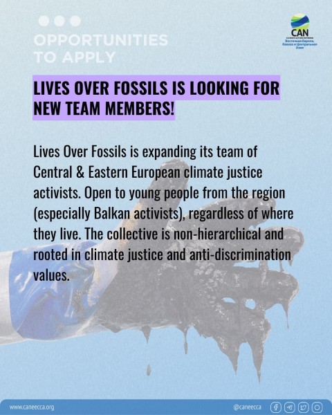 Программа волонтерства в команде Lives Over Fossils 