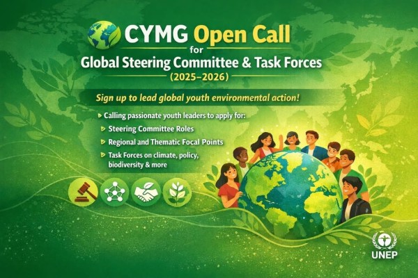 Программа CYMG Steering Committee & Task Forces