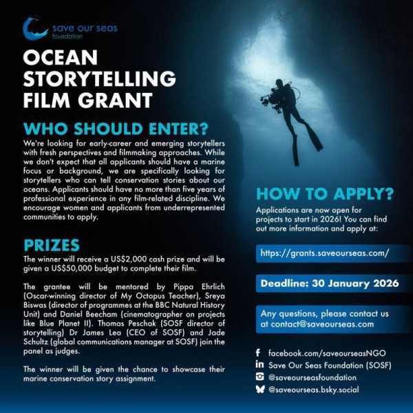 Гранты Фонда Save Our Seas на сохранение морской среды, исследования и рассказывание историй! | ave Our Seas Foundation Grants for Marine Conservation, Research & Storytelling! 