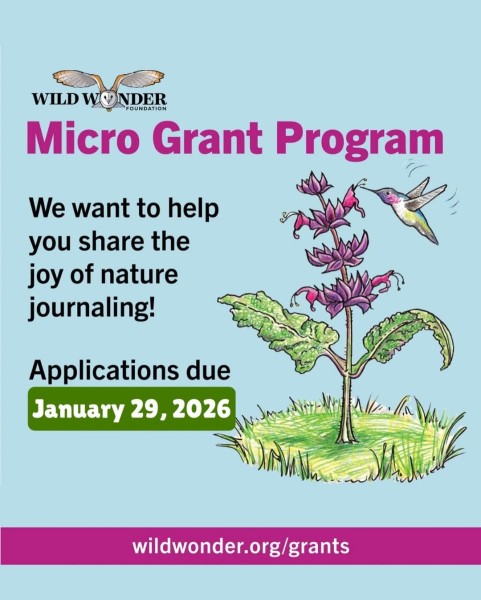 Программа микрогрантов Wild Wonder, сохранение природы | Wild Wonder Micro Grant Program