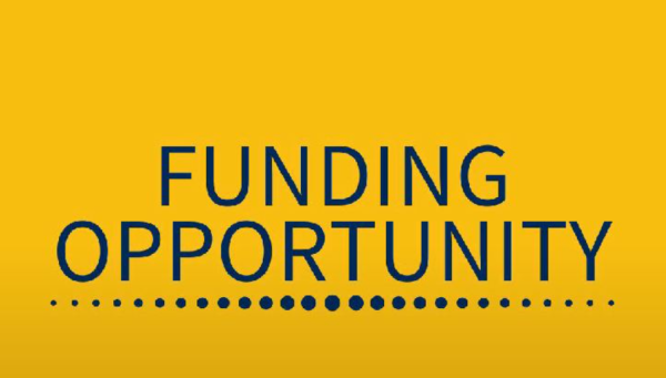 Программа грантов Africa Grant Opportunity 2026