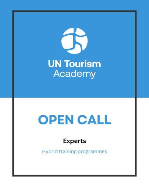 Эксперт по онлайн-разработке в академию туризма ООН