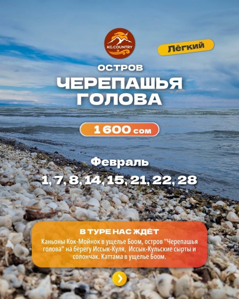 Тур на остров "Черепашья голова" + Ракушечный пляж + Каньоны "Кок-Мойнок" | 22.02.2026
