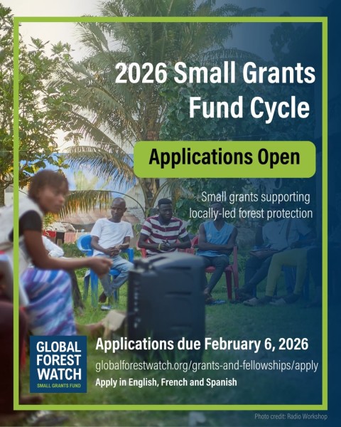 Международные гранты Small Grants Fund 2026 для экологических проектов | Small Grants Fund 2026 – Funding for Forest Monitoring and Protection Projects
