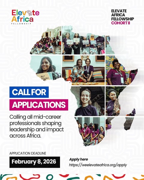 Программа Elevate Africa Fellowship 2026
